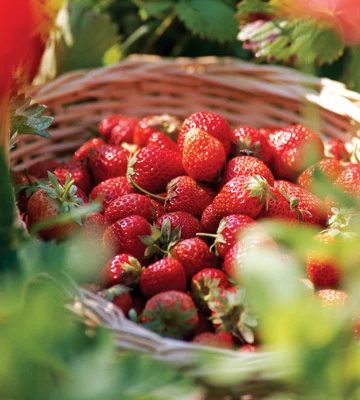 When and How to Buy Organic Produce