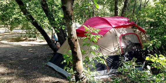 straightforward Camping Kitchen Box Checklist