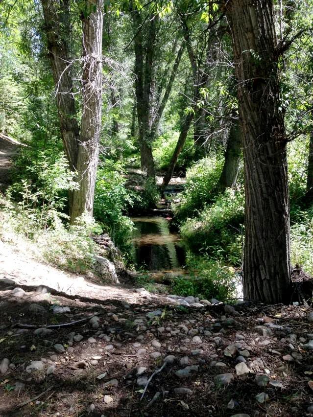 camping (10)