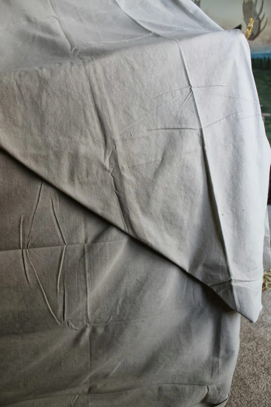 kids camping tent bed canopy from the outside, The Ragged Wren on Bekob