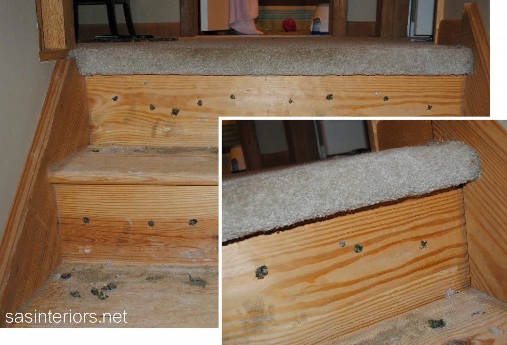 carpet transition on wood stairs