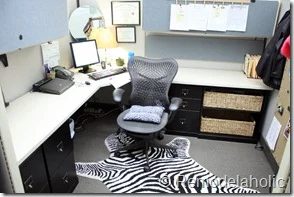 Ballard Designs3 018