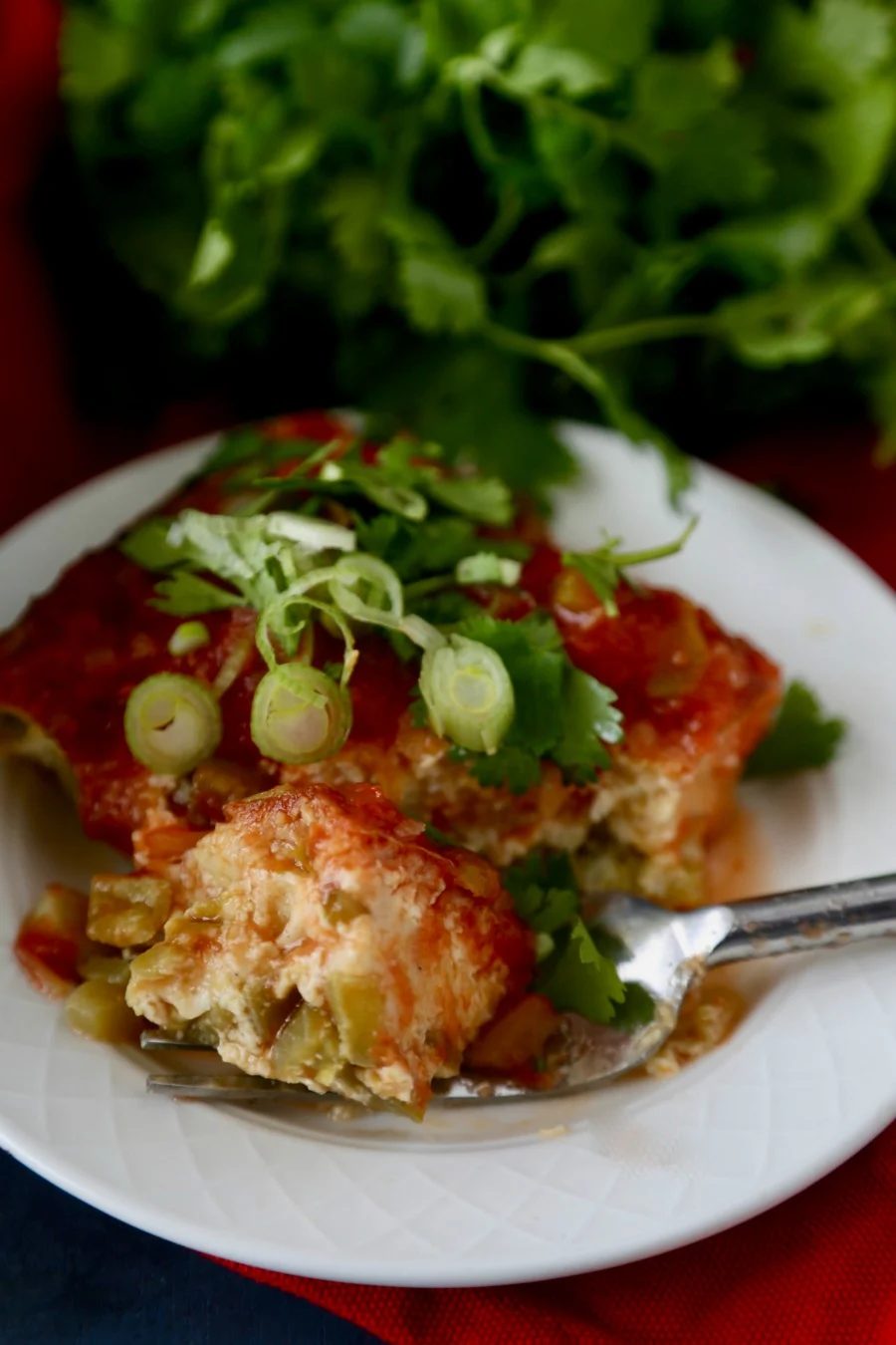 Chili Rellenos Casserole 11