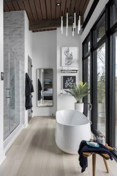 Primary Bathroom Bath And Shower Overlooking The Valley