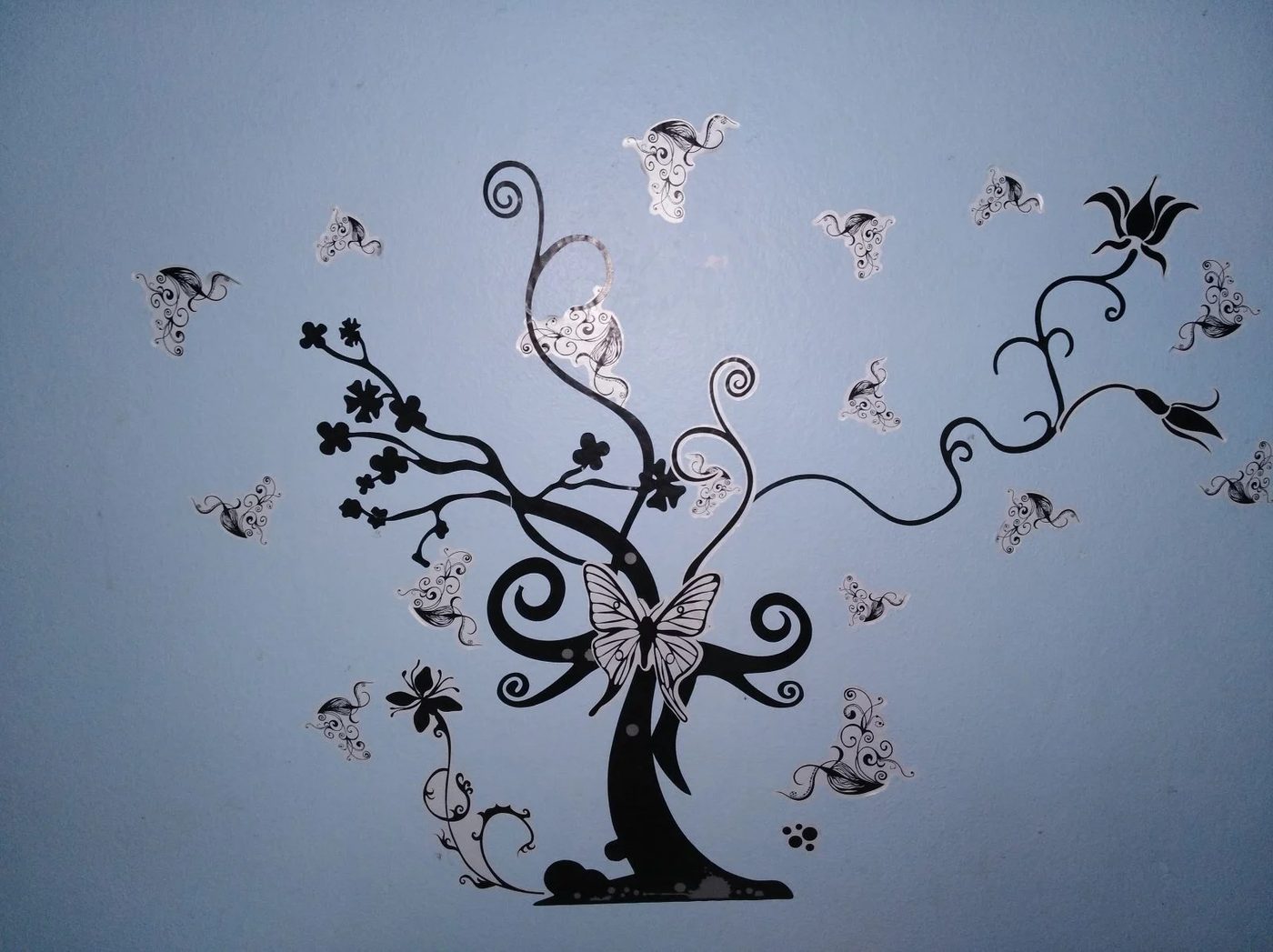 Wall Decals