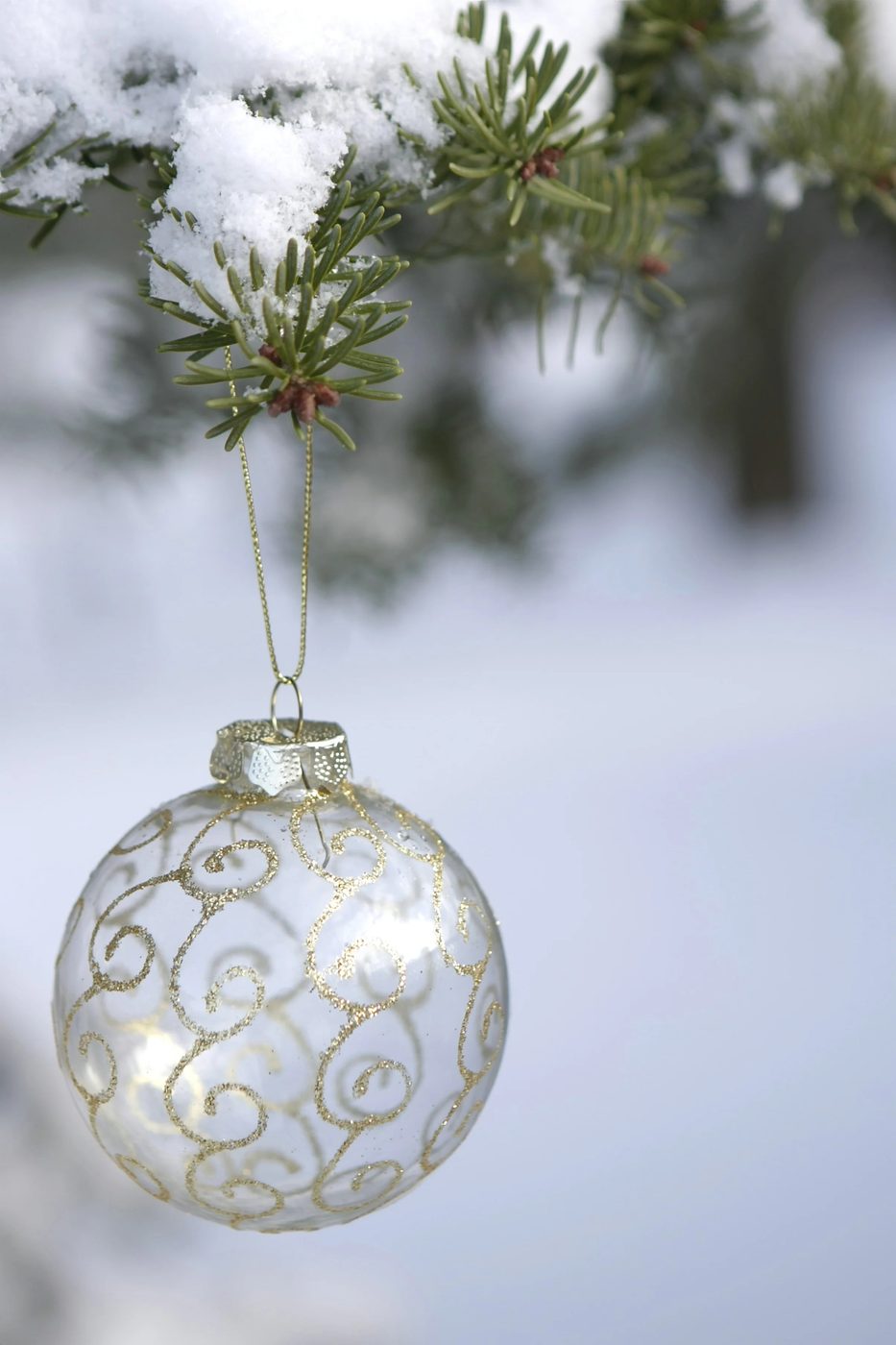 35+ Creative Handmade options for Clear Ornaments
