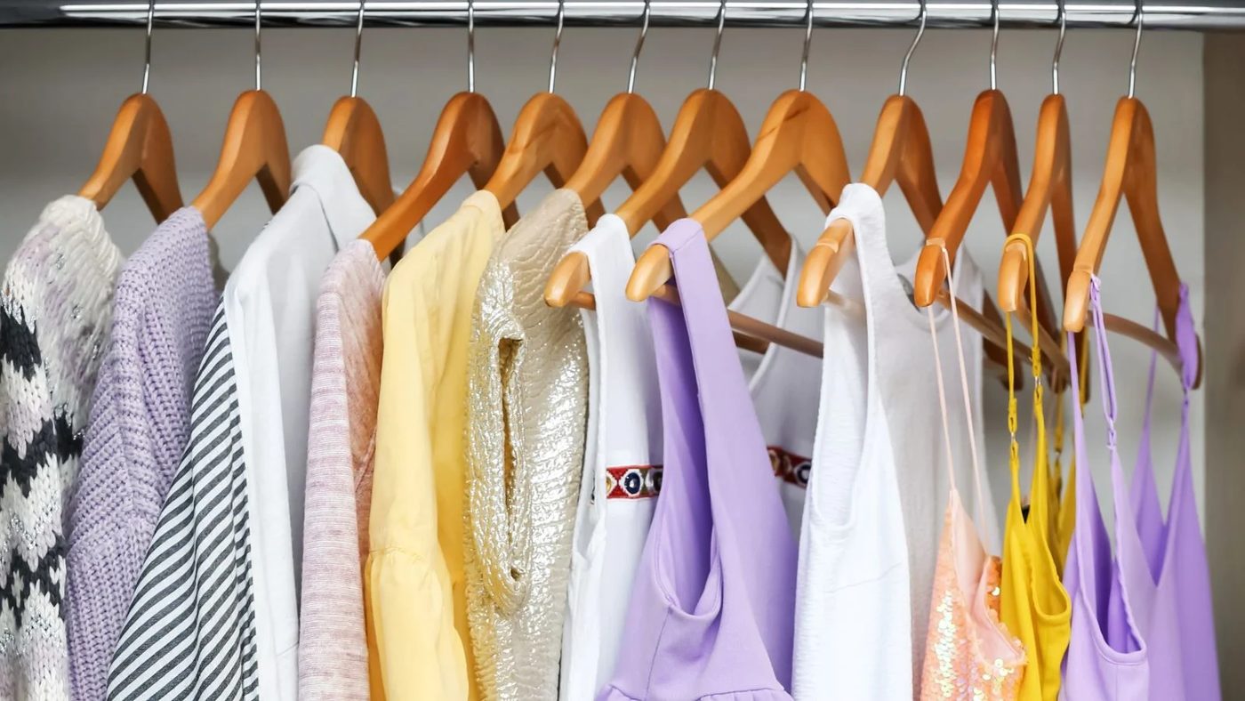 Matching Hangers Closet Organization Shutterstock 2206927675