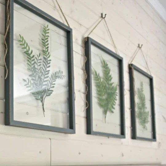 Planked Wall With Pressed Leaves In Glass With Black Frame