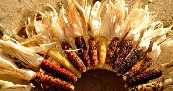 Corn Husk Wreath