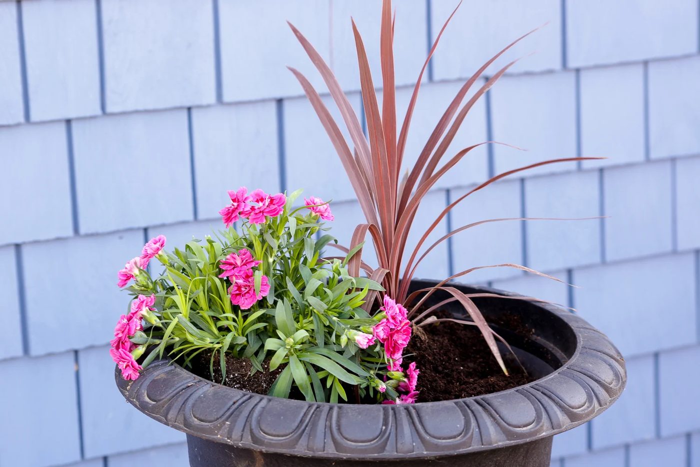 How To Create striking Outdoor Pots And Planters | This Mamas Dance For Bekob 6