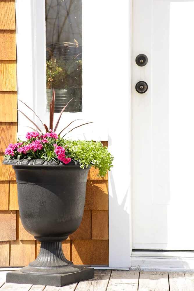How To Create striking Outdoor Pots And Planters | This Mamas Dance For Bekob 28
