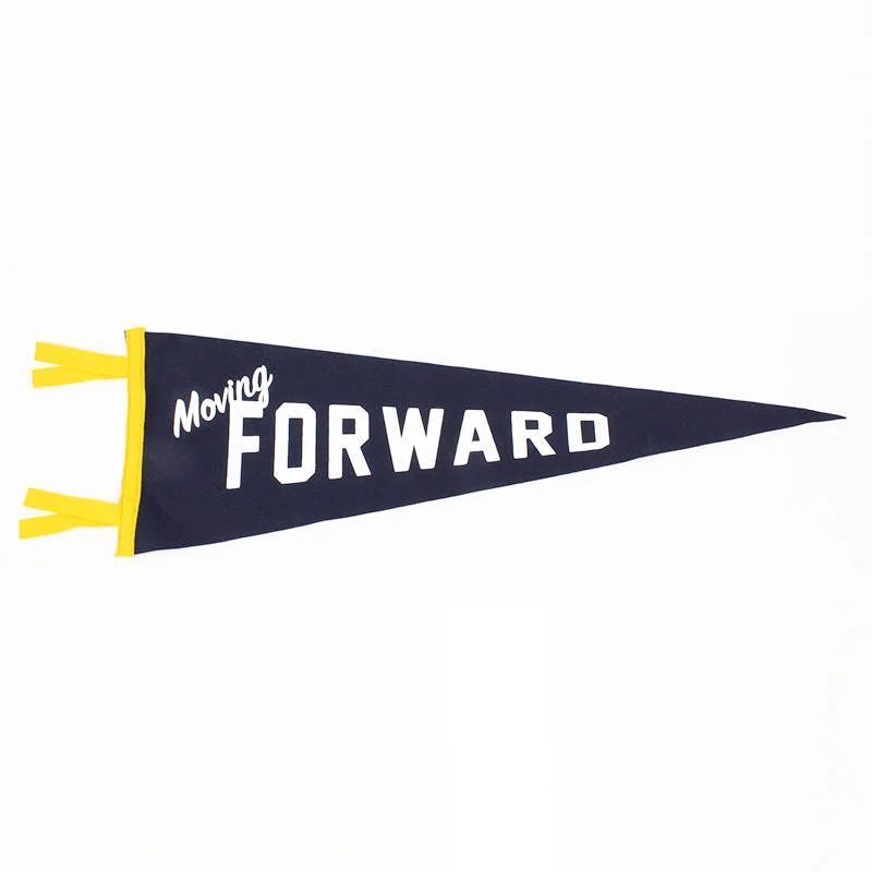 Gender Neutral Shared Kids Room Wall Decor Pennant