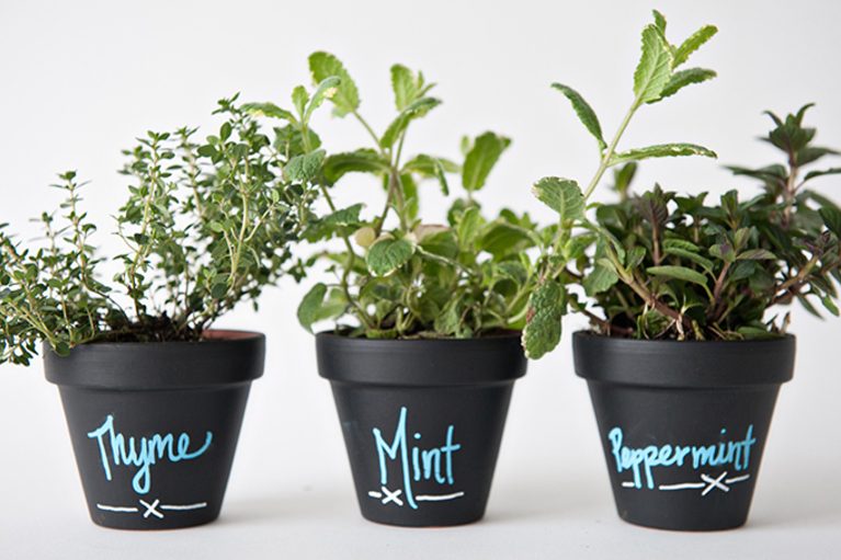 Chalkboard-Planters-Studio-1