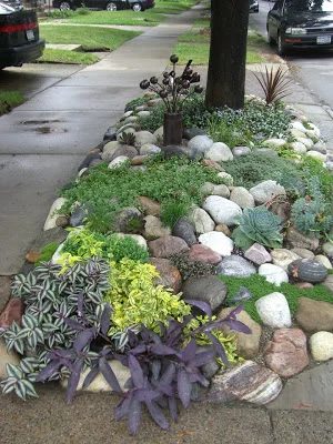 succulents and rocks hell strip park strip flower bed from Bekob.