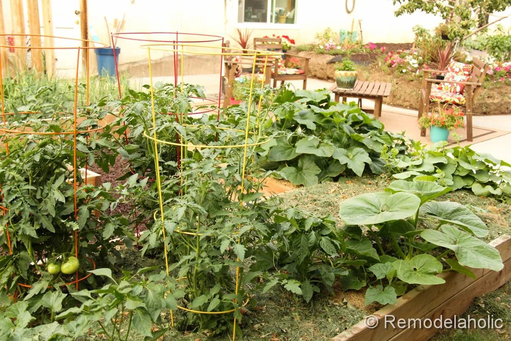 custom raised garden boxes-31