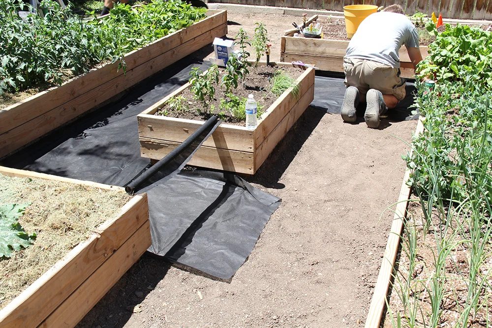 raised garden bed weed barrier