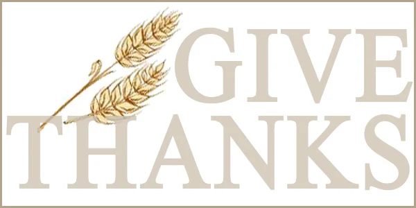 Day 11; Happy Thanksgiving