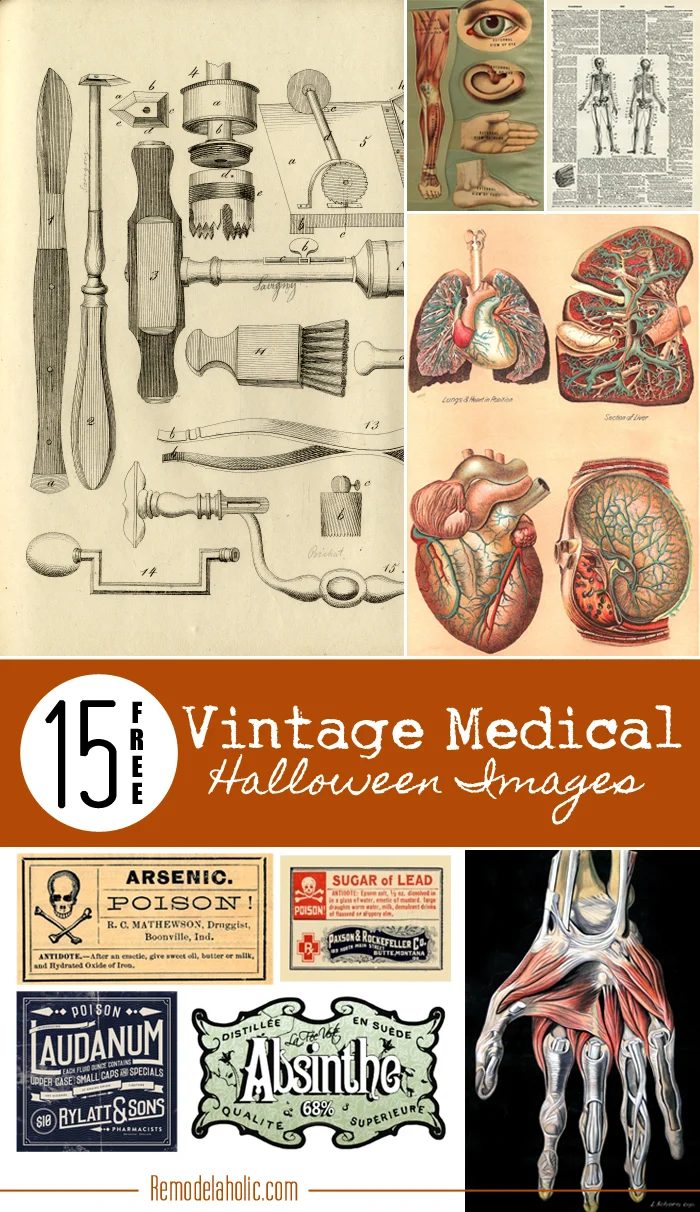 15 Free Vintage Medical Halloween Images | Bekob.com #printable #free #art