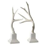 Winter Whites Antlers