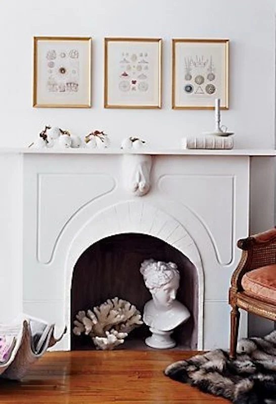 Fireplace Inspiration 9 Designing Dawn For Bekob