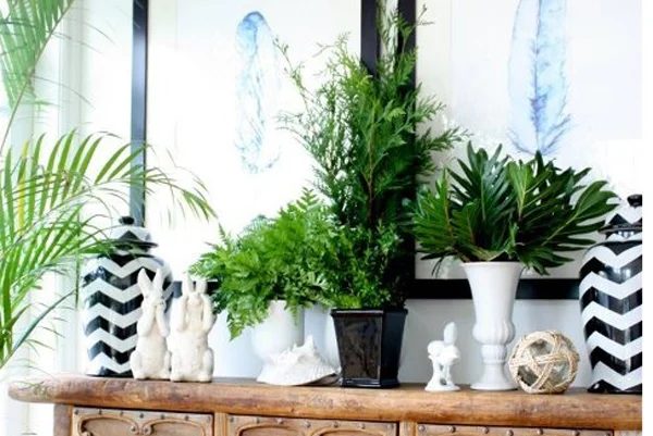Design Inspiration: Creating a striking Look