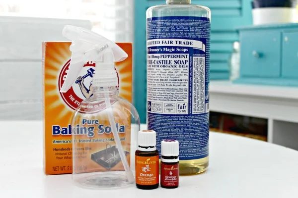 Handmade-Bathroom-Cleaner-Ingredients