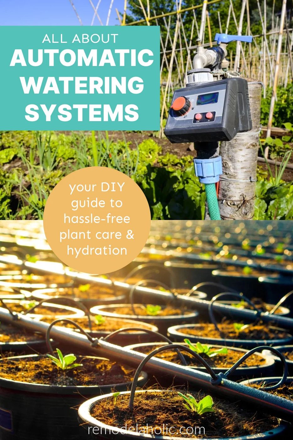 All About Diy Automatic Watering Systems To Keep Plants Hydrated Without Hassle, Bekob
