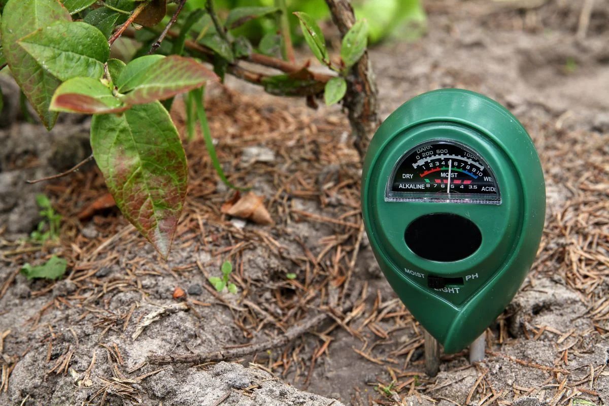 Soil Measurement Shutterstock