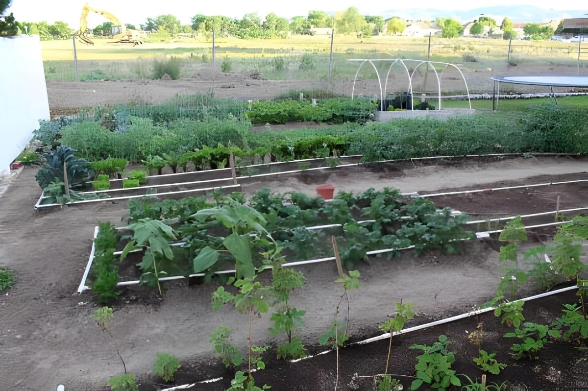 Pvc Drip System Our Stoney Acres