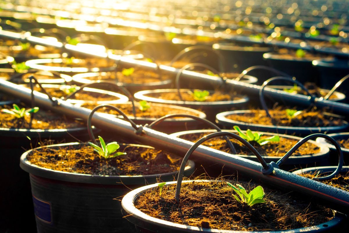 Automatic Watering System Outdoor Shutterstock