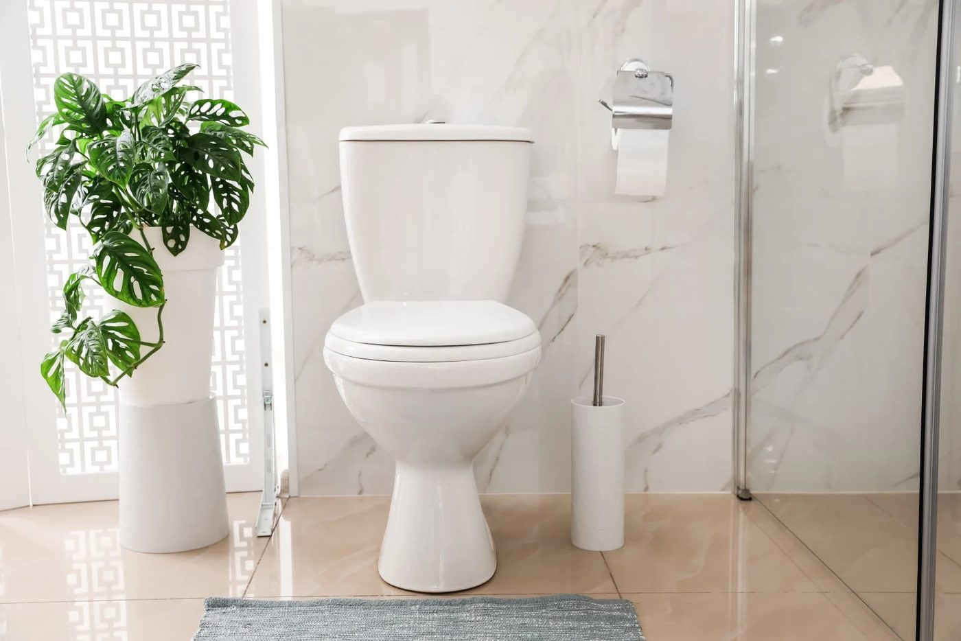 Water Saving Toilet