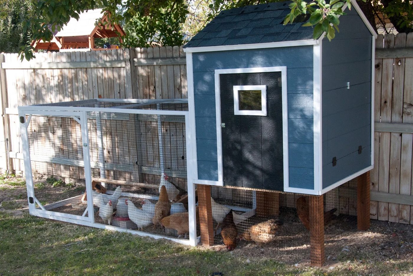 from The Real Housewives of Riverton - the blue looks great and lots of space for the chicken run under the coop