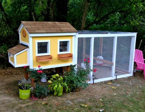 from Backyard Chickens - love the window boxes!