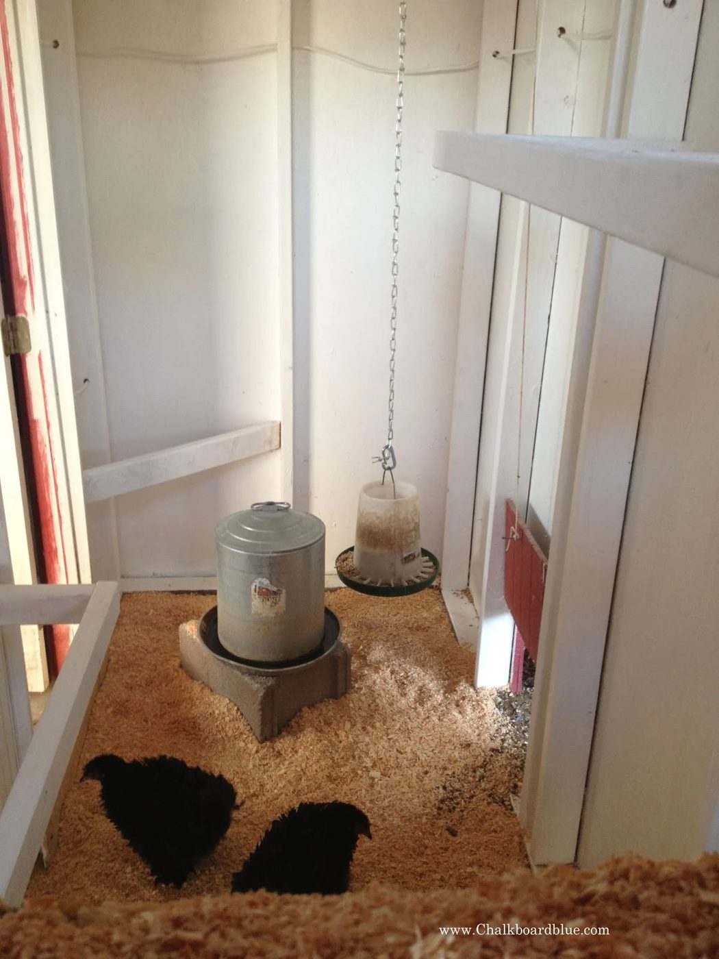 Chicken Coop and Storage Shed Instructions by Chalkboardblue featured on Bekob