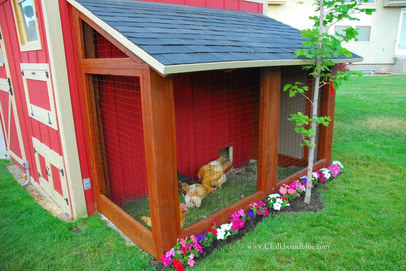 Handmade Chicken Coop with Storage Shed by Chalkboardblue featured on Bekob