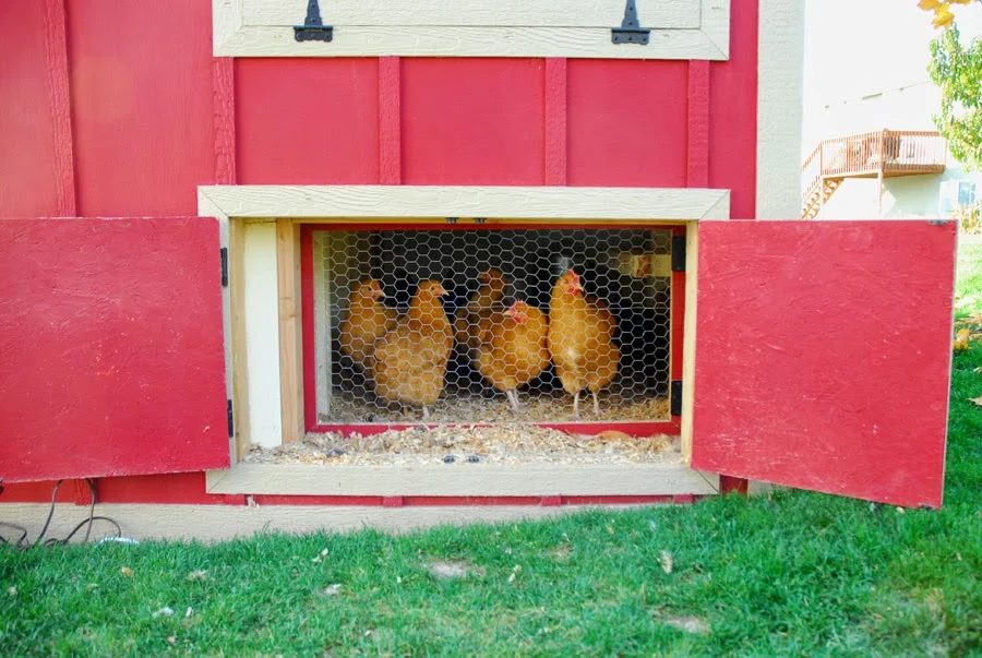 Handmade Chicken Coop by Chalkboardblue featured on Bekob