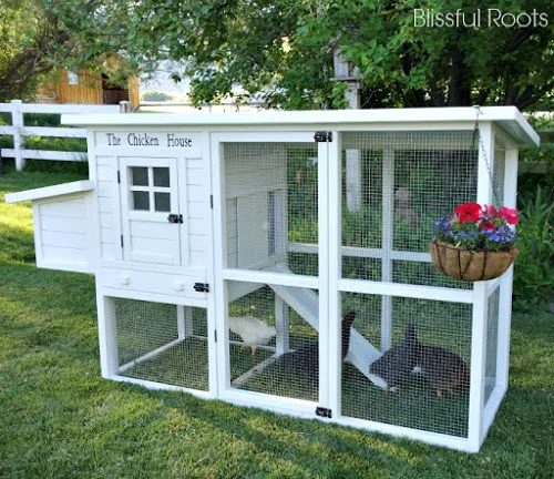 Cute Handmade chicken coop by Blissful Roots