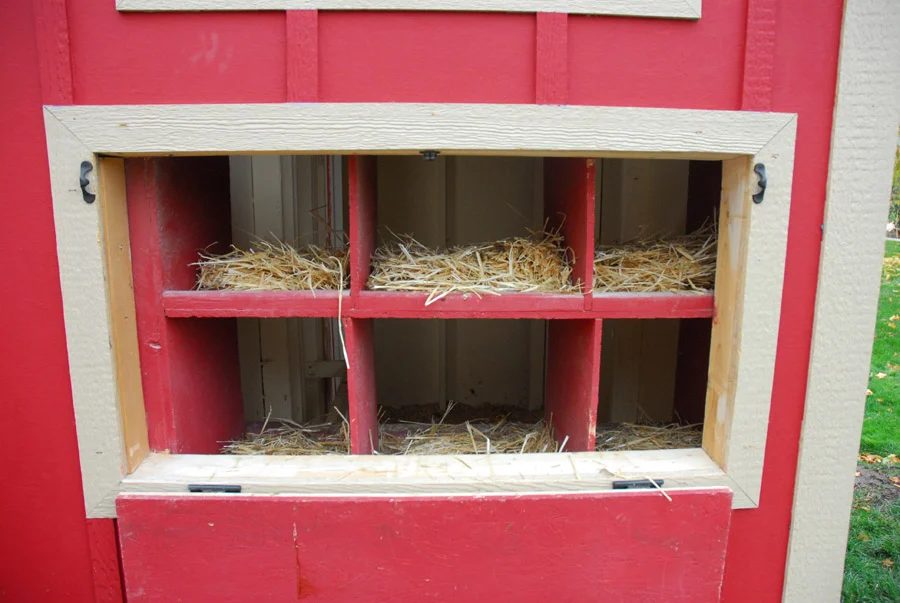 How to Build a Chicken Coop by Chalkboardblue featured on Bekob