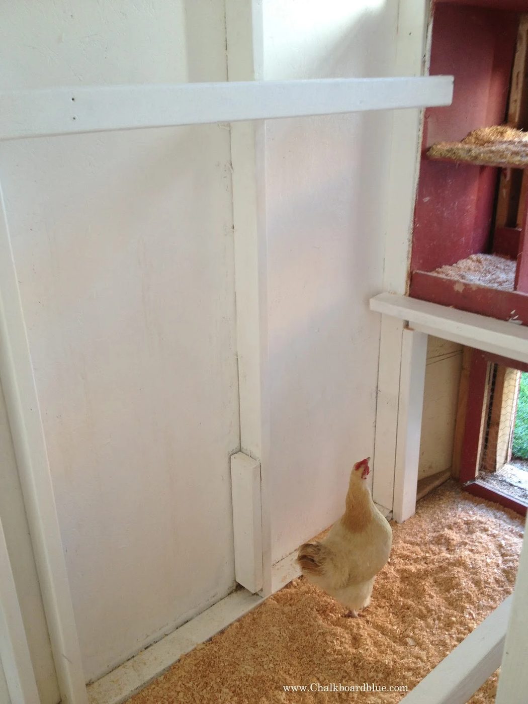 Chicken Coop walkthrough with Storage Shed by Chalkboardblue featured on Bekob