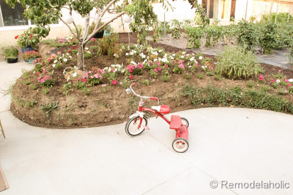 Handmade concrete patio part two-37-2