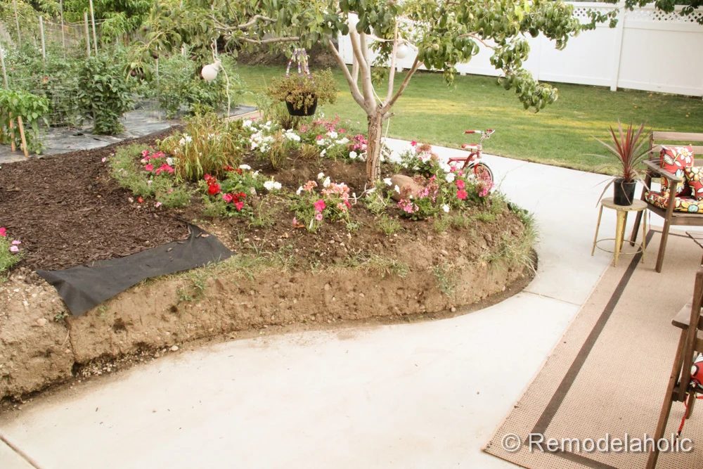 Handmade concrete patio part two-36-2