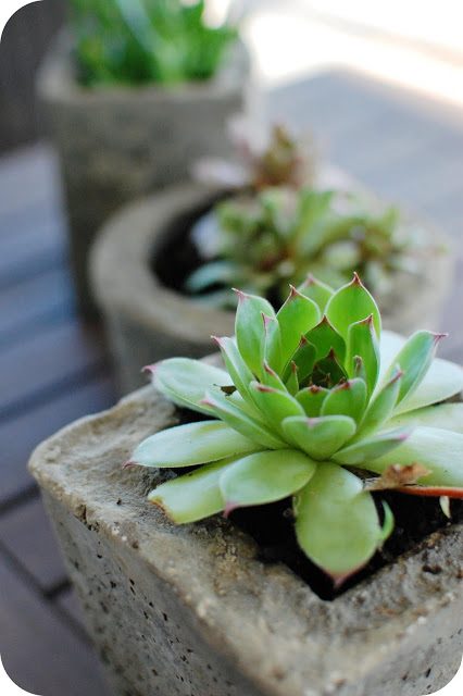 concrete hypertufa pots, 33 Shades of Green on Bekob