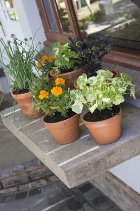 concrete floating shelf, The Gardener