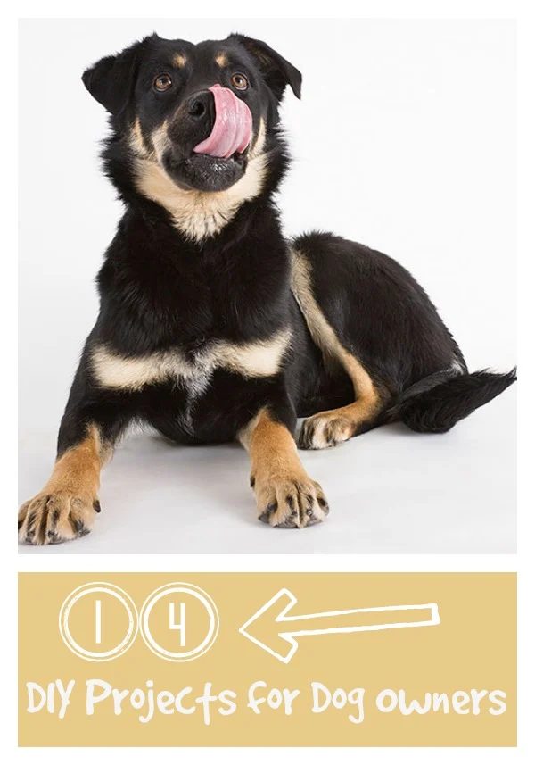 Love your dog? Create one or more of these straightforward Handmade dog projects from tipsaholic.com #dog #dogs #handmade #pets