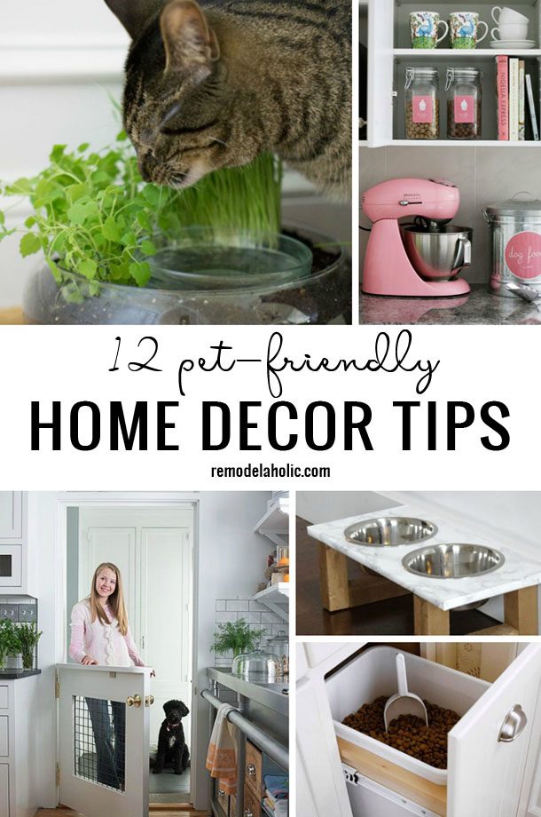 12 Pet-Friendly Home Decor Tips - Bekob