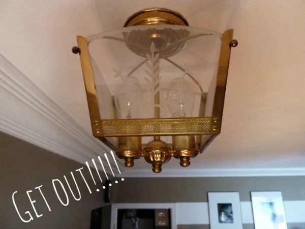 ugly light fixture before chandelier, Bliss At Home featured on Bekob