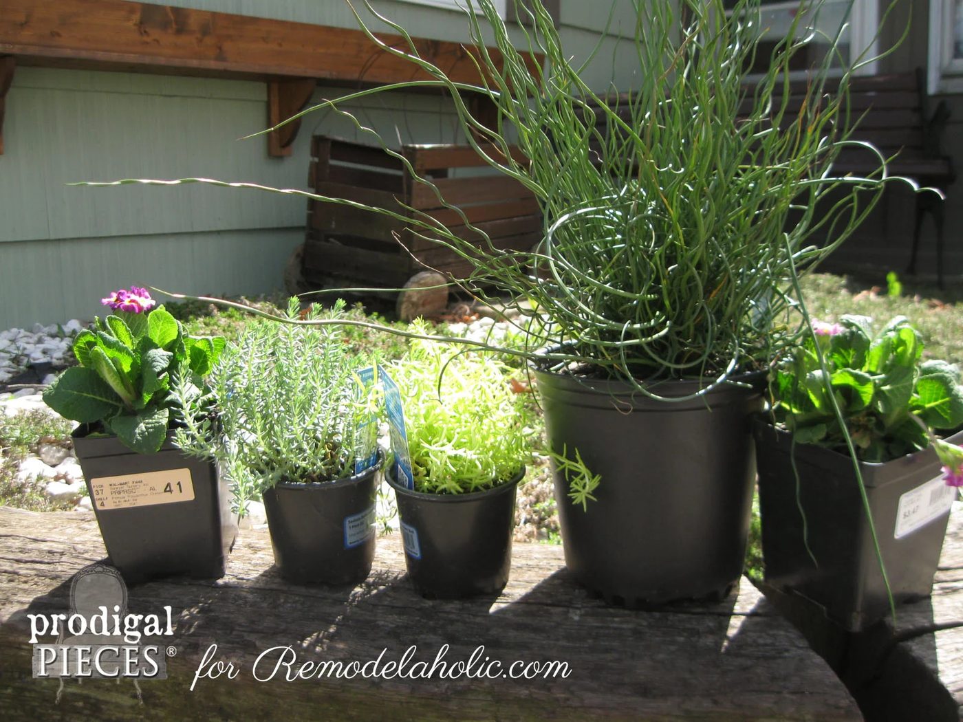 Handmade Faux Zinc Finish on a Garden Urn Planter by Prodigal Pieces for Bekob