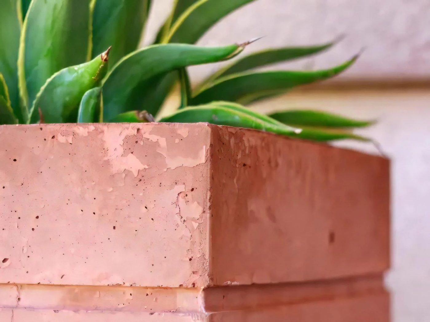 2a Modern Diy Large Stained Concrete Planter 2 021955