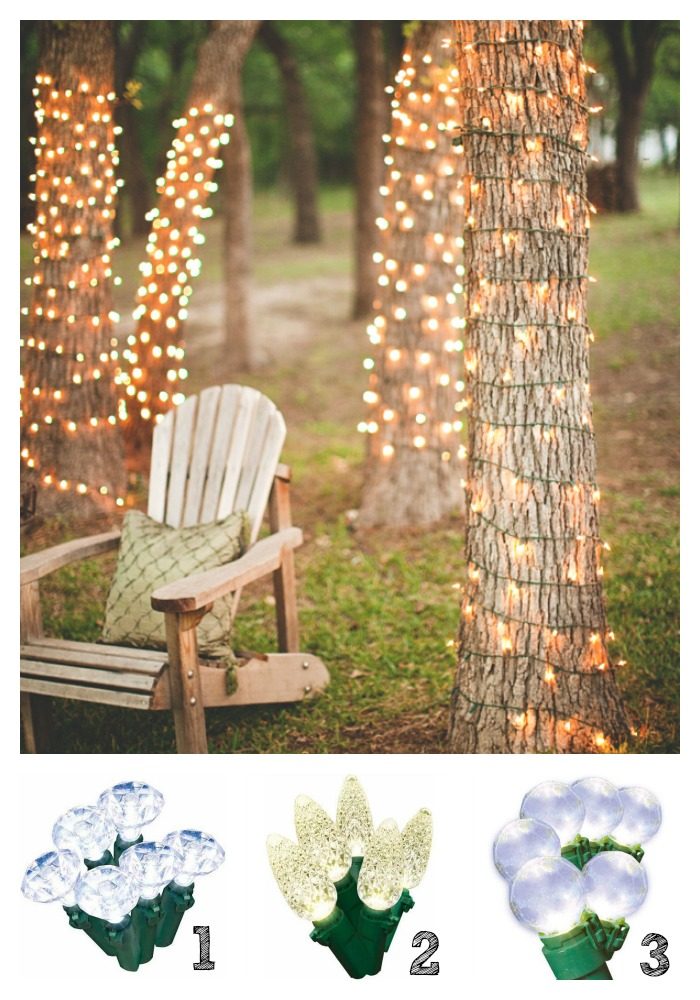 Backyard Lights 1