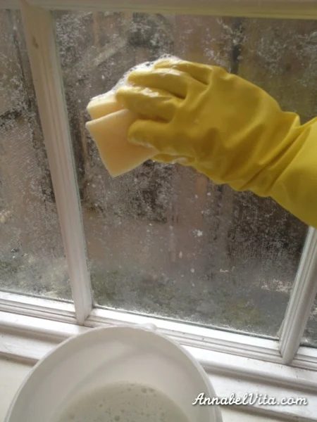 how to clean lace cornstarch privacy film off windows, Annabel Vita on Bekob